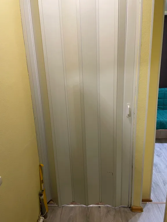 В гостях у гуся