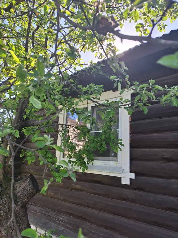 Гостевой домик