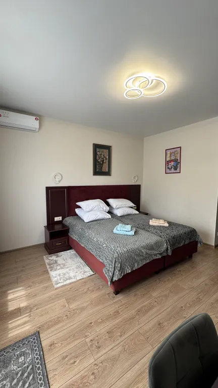 Студия Киви