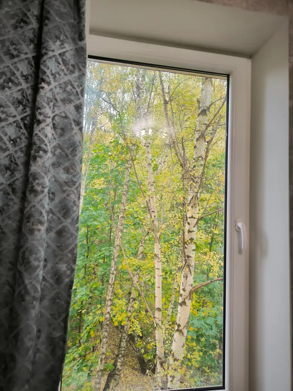 Квартира Квартира Евродвушка в курортной части Светлогорск-2 — Светлогорск