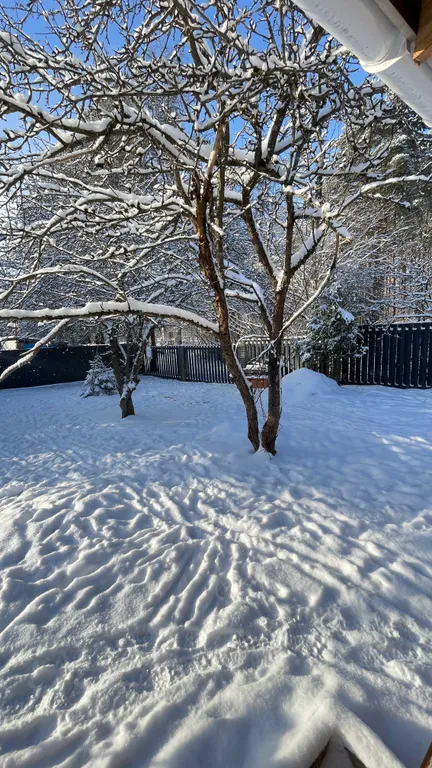 Дом с сауной и банным чаном
