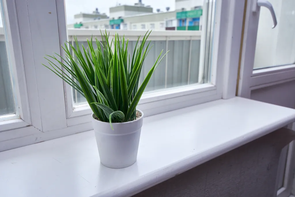 Город на ладони