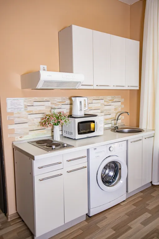 Квартира Апартаменты- Чистые пруды — аренда посуточно в Сочи