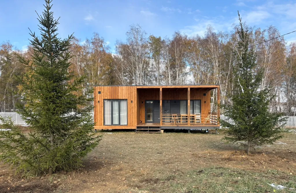 Дом с видом на березовый лес