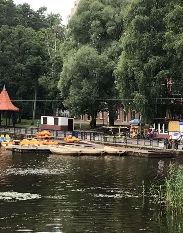 Квартира Квартира Апартамент Шепот волн — Светлогорск