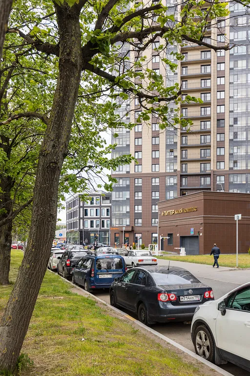 Студия в Московском районе