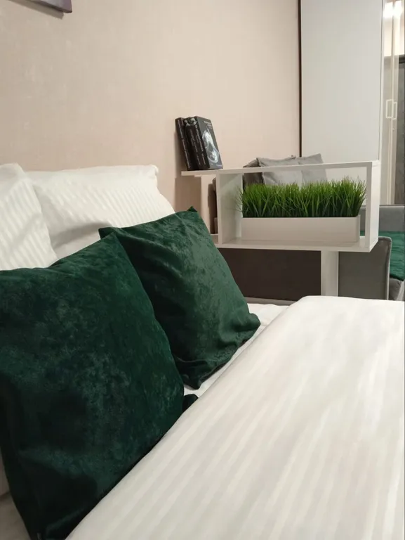 Уютная студия в ЖК Ёлки