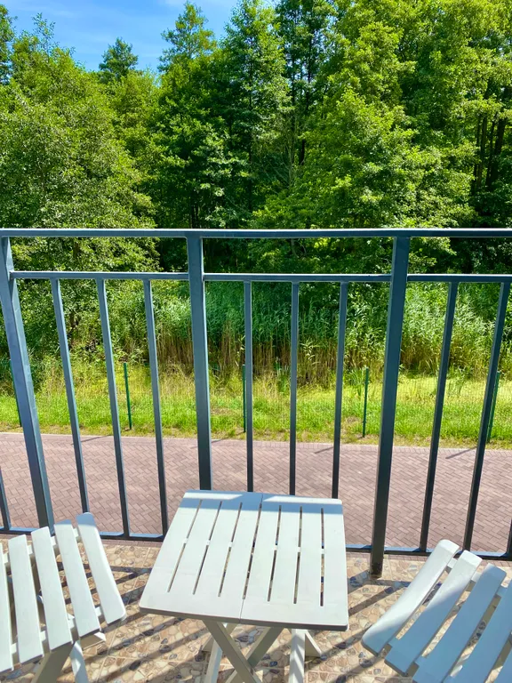 Уютная квартира с видом на Куршскую Косу