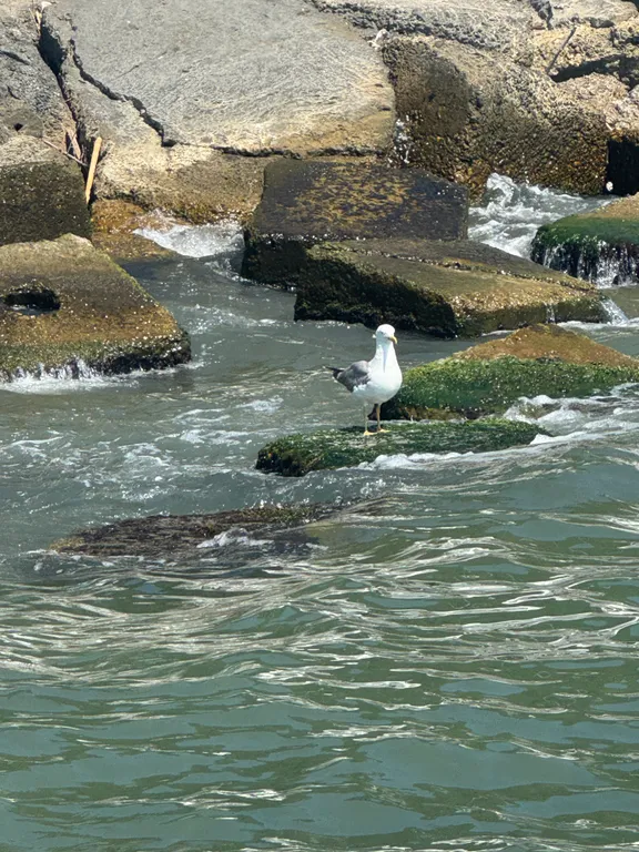 Оазис на море