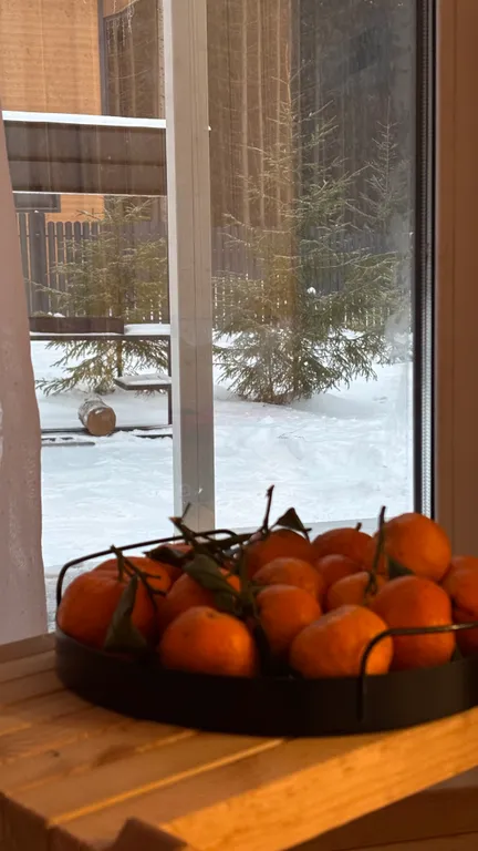 Уютный дом с баней у леса