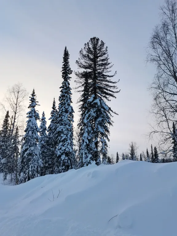 Коттедж Дом в стиле барнхаус — Шерегеш