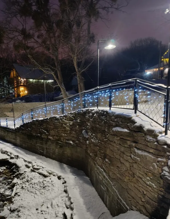 Шале в черте города с выходом в лес