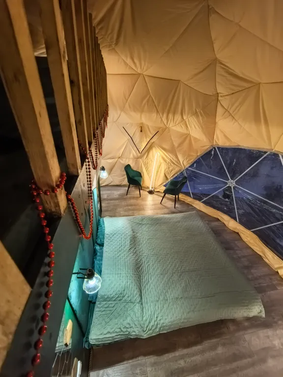 Купол в лесу