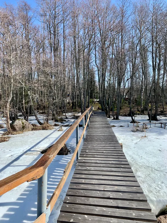 Коттедж с горячей купелью рядом с Выборгом