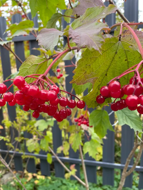 Уютный домик в тишине у озера Кипень