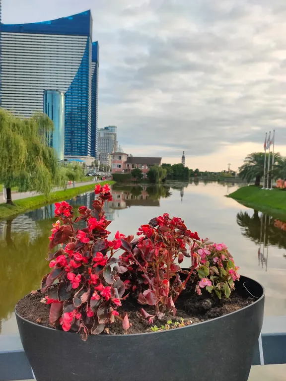 Квартира Апартаменты с видом на море в комплексе Орби - Сити — Батуми