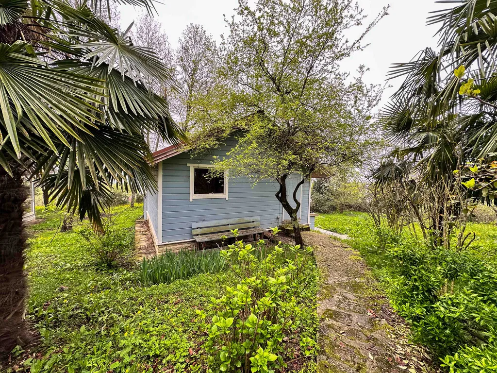 Дом в горах 38 соток