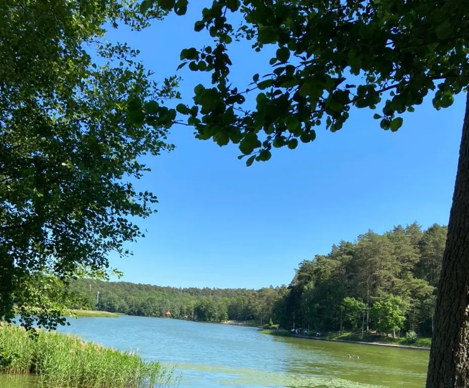 Квартира Уютная квартира в центре города — Светлогорск