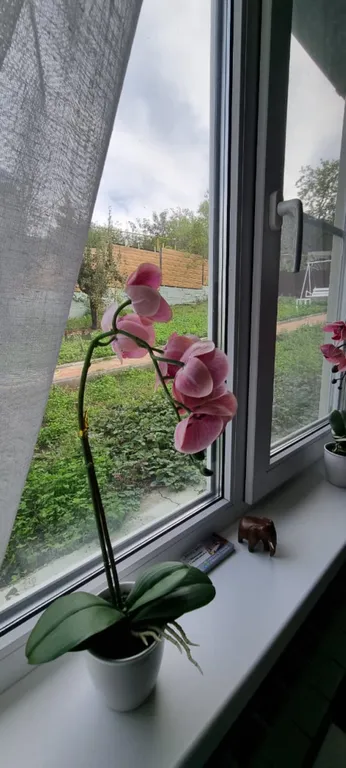 Тихий Домик с видом на горы