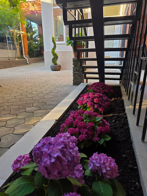 Квартира Квартира "Классик" двухместный номер стандарт — Геленджик