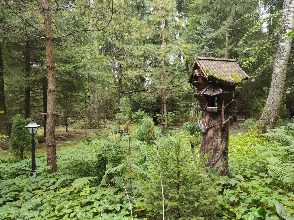 Коттедж Дом с тропическим бассейном, сауной и каминами — Московский