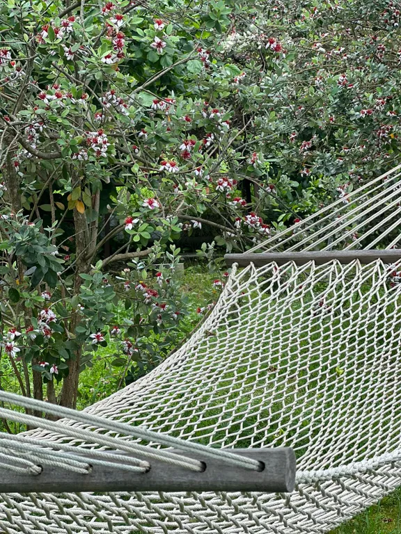 Коттедж Уютный домик с приусадебным участком — Гагра