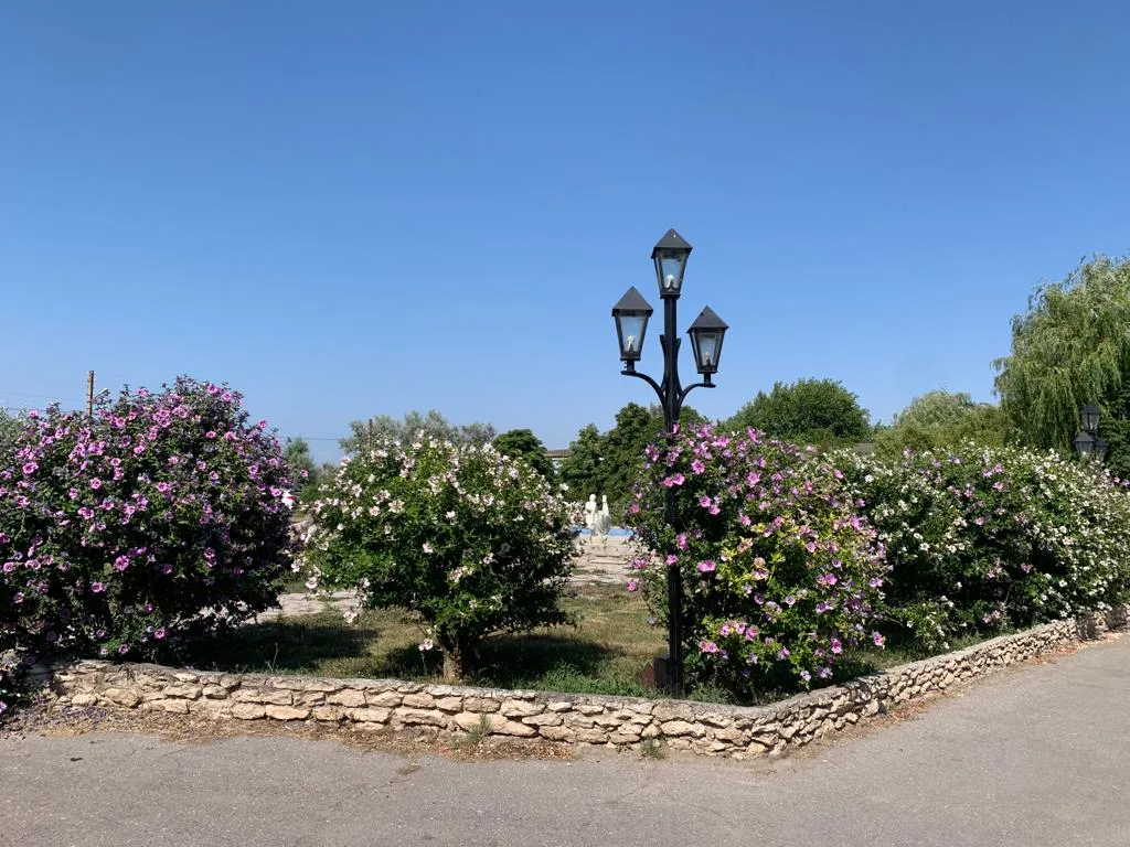 Семейный Апартамент Viktoria