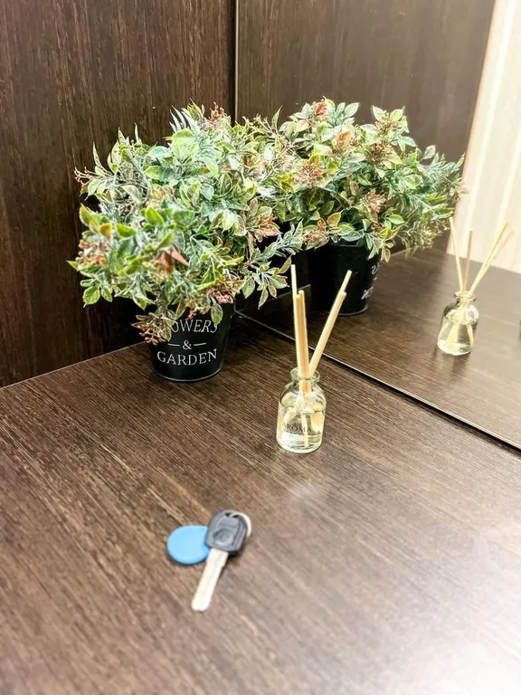 Квартира 1-комнатная Квартира — Красноярск