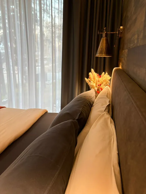 Дом Совы на вершине города