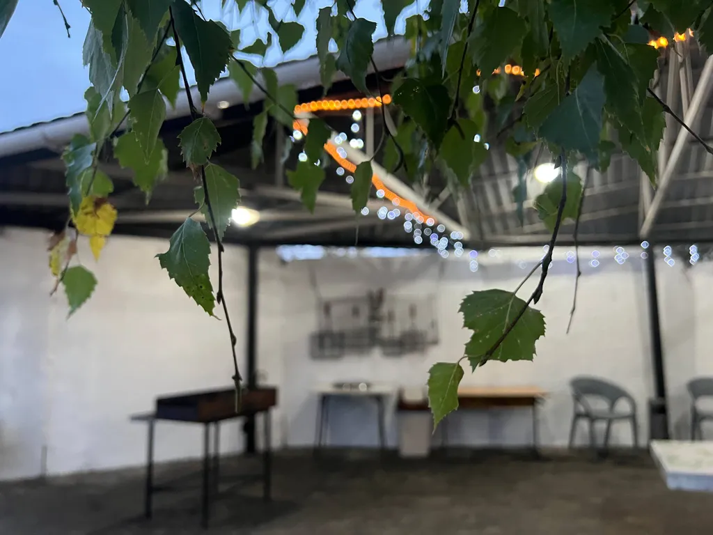 Уютное место отдыха для большой веселой компании с танцполом и баром