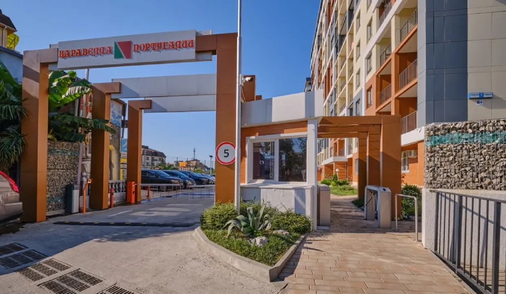 Яркая студия Цитрус для всей семьи