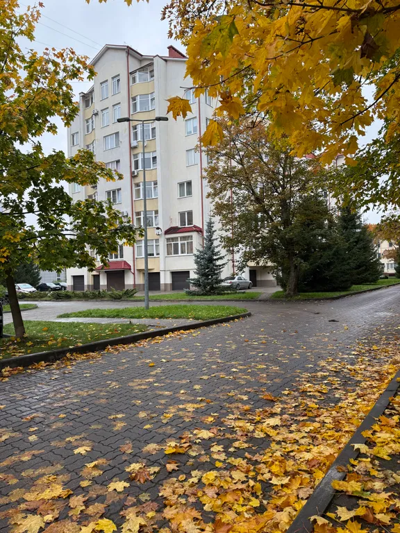 Квартира Квартира Двухкомнатная у Центрального парка — Калининград