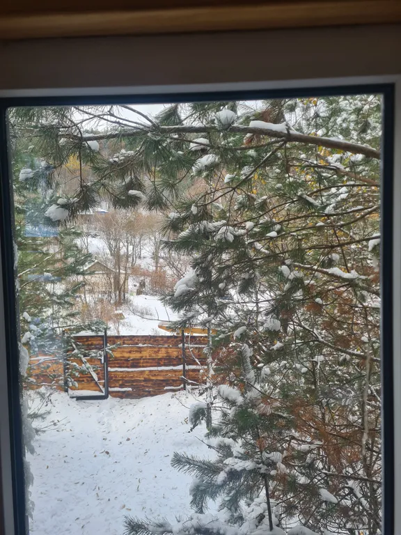 Коттедж Домик в лесу — Кисловодск