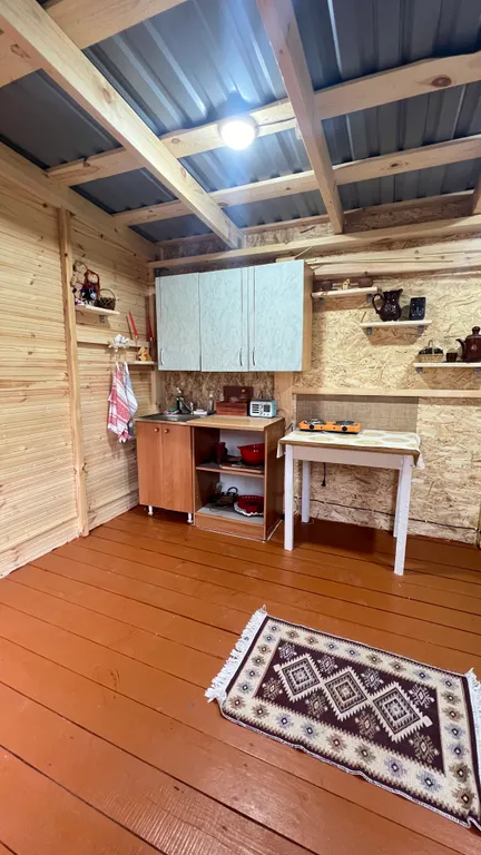 Уютный домик на берегу Катуни с видом на реку