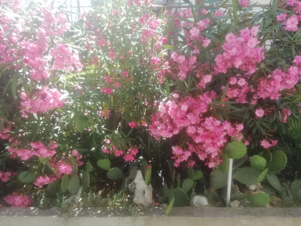 MilayDom, двухэтажный отдельно стоящий дом