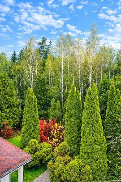 Дом с бассейном у леса