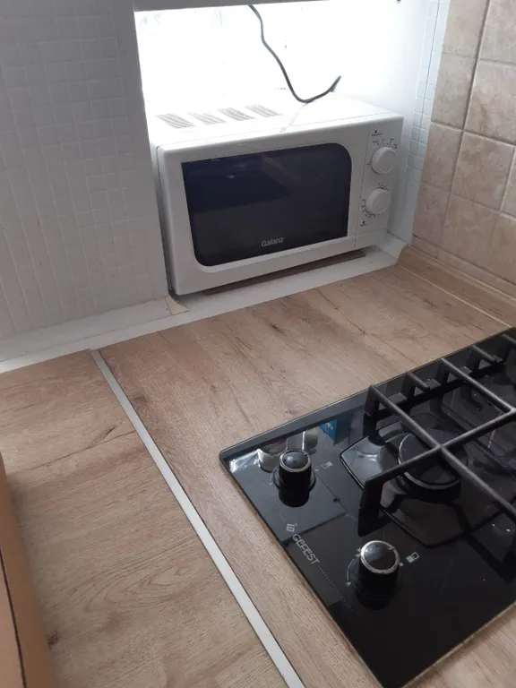 Коттедж Уютная квартира в самом центре города с отдельным входом — Воронеж