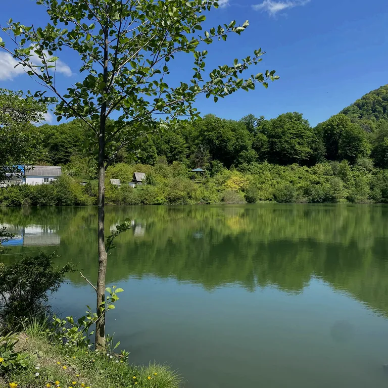 Коттедж 1-комнатный Дом — Сочи