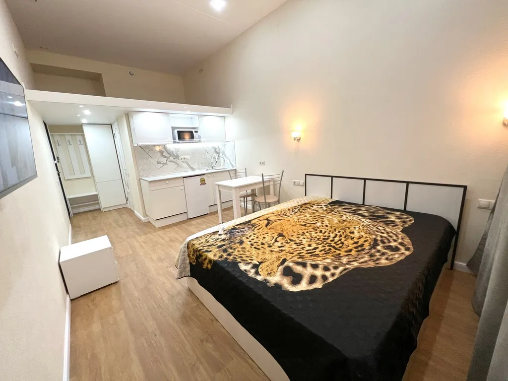 Комфортабельная студия