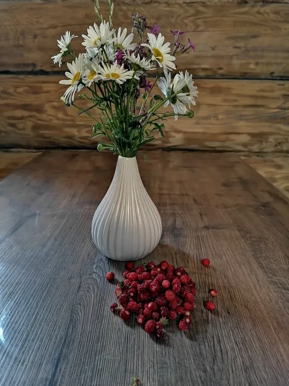 Домик на горе