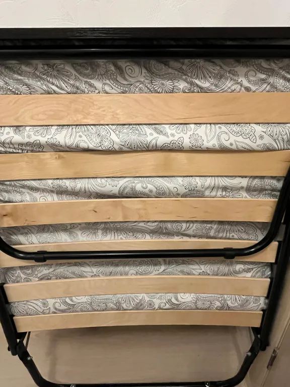 Большая квартира с зонированием и с видом на лес