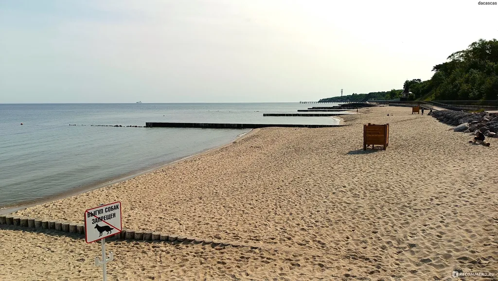 Chaika квартира у моря — аренда посуточно в Пионерский