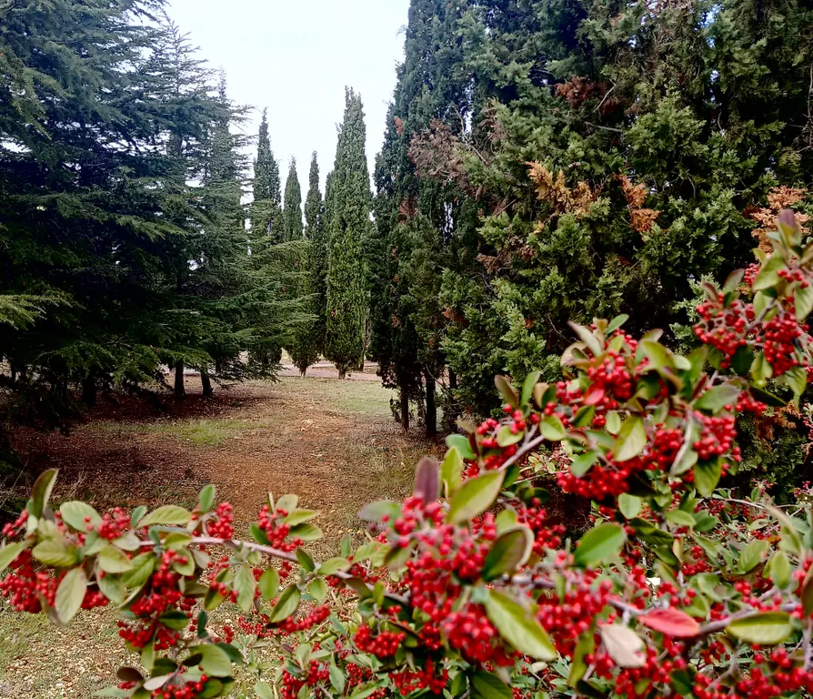 Квартира Уютные апартаменты на берегу моря в парке Победы — Севастополь