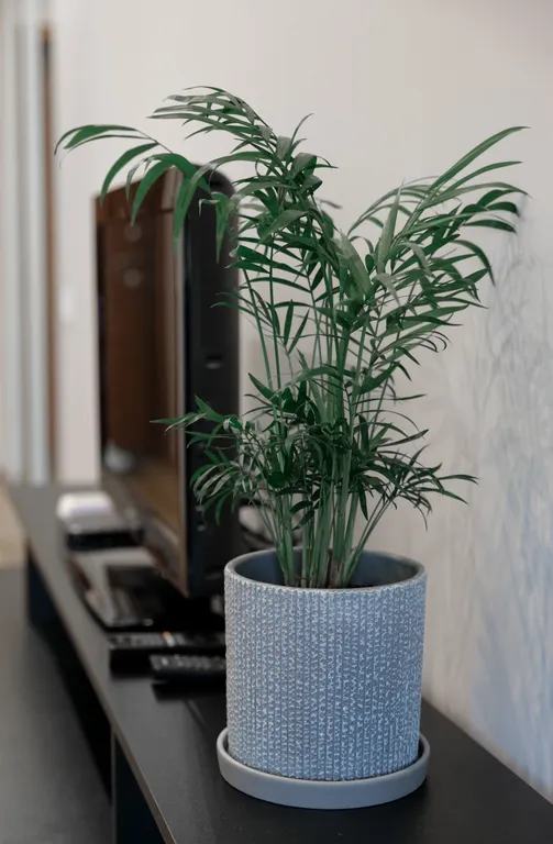 Уютная и светлая квартира-студия на северо-западе Подмосковья