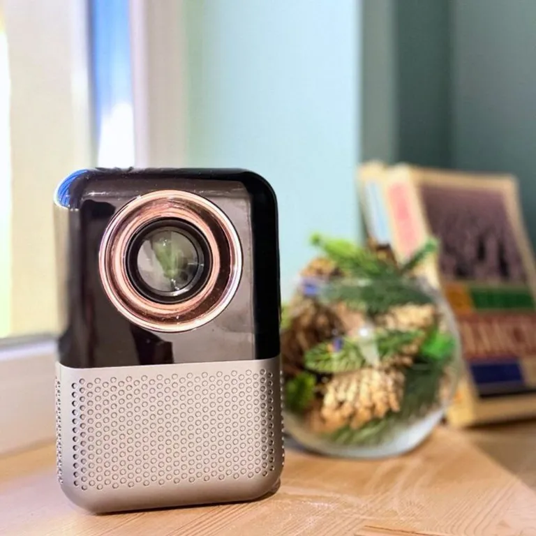 Студия Скандинавский лес с видом на Шуваловский парк