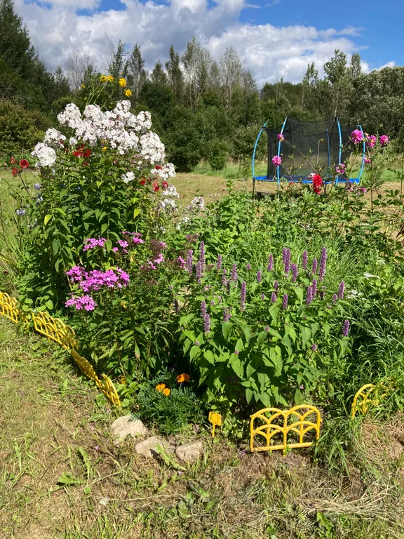 Гостевой дом у леса