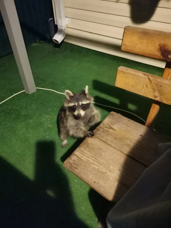 Дом в горах с видом на море