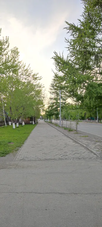 Солнечная Камчатка