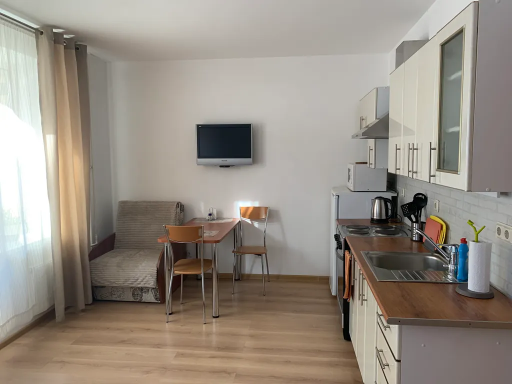 Квартира Квартира Уютная и чистая студия — Песочный