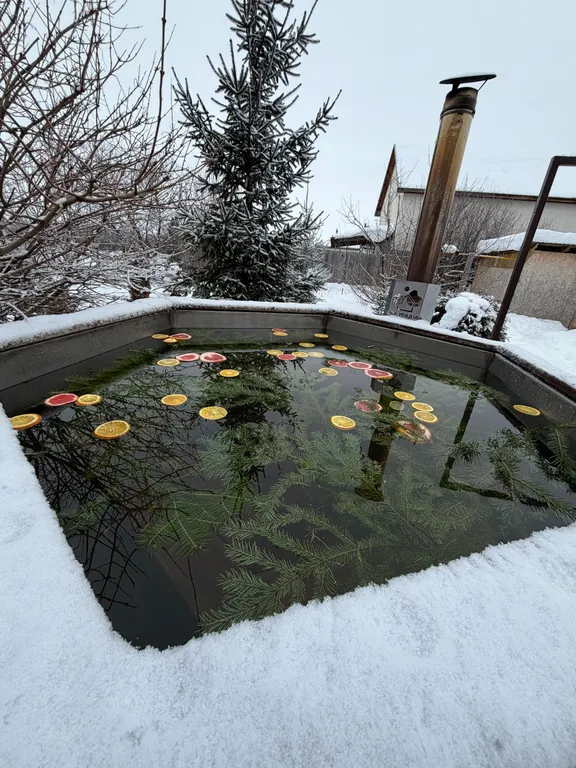 Дом с баней и чаном